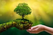 Día Mundial del Medio Ambiente: el planeta clama por un cambio frente a la contaminación plástica
